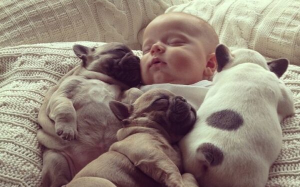 Kūdikis ir draugeliai (foto)