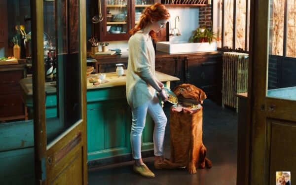 Šuo – ne šiukšlių dėžė (foto)