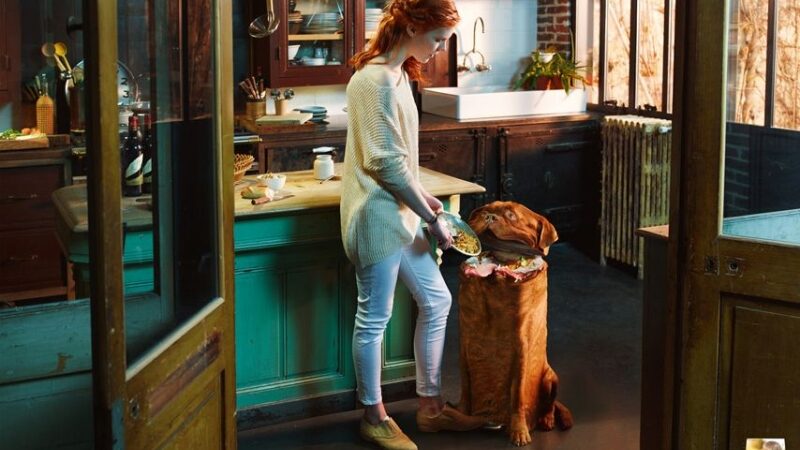 Šuo – ne šiukšlių dėžė (foto)