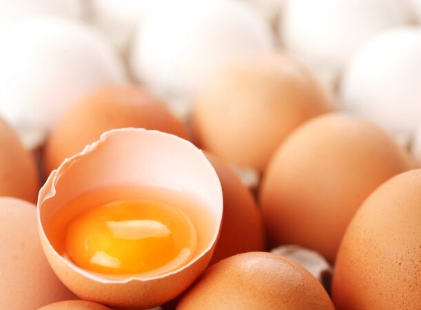 Kiaušinių žymėjimas: aišku viena – jie vištų!