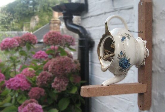 Stilingi inkilai grįžtantiems paukščiams (Foto)