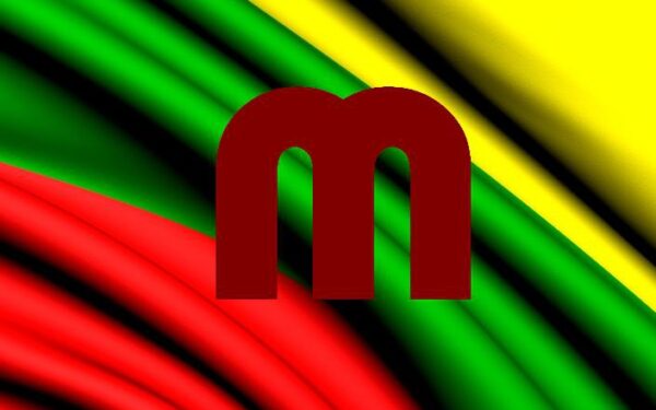 Visa Mindaugų virtinė garsina Lietuvą