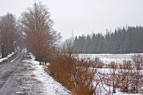 Savaitgalio orai. Šiek tiek sniego ir stiprus vėjas