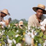 Greitai kino teatruose: jaudinanti į nelaisvę parduoto juodaodžio istorija „12 vergovės metų“