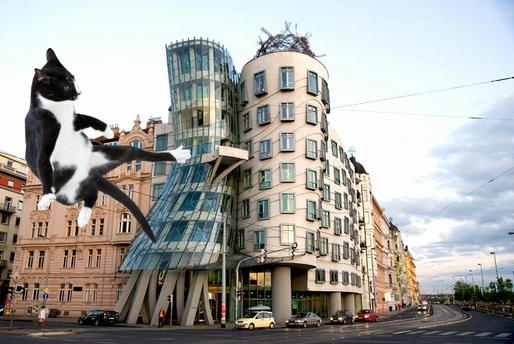 „LOLcats“ ir nuostabi architektūra