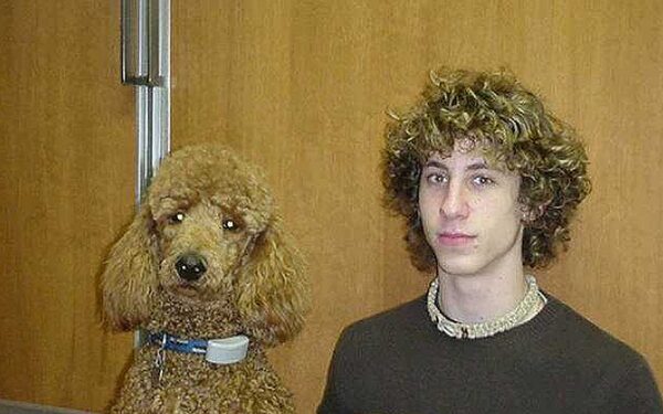 Kaip du vandens lašai: šuneliai ir jų šeimininkai (foto)