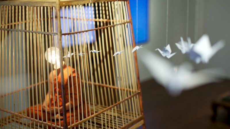 Išraiškingas Ole Ukena metaforų menas (foto)