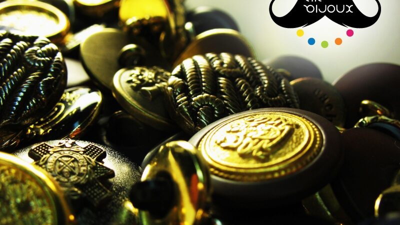 Agnė ir sagų kolekcija – papuošalai