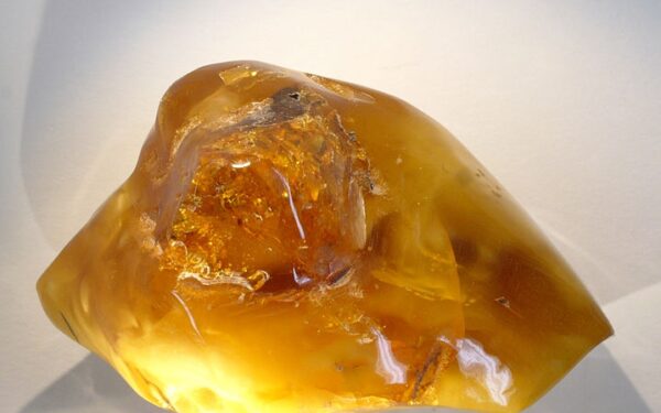 Gintaras – daugiau vaistas nei papuošalas (Foto)