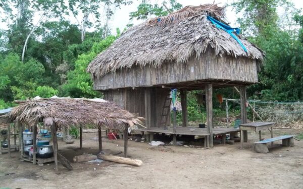 Amazonės džiunglių pakerėta Živilė (Foto)