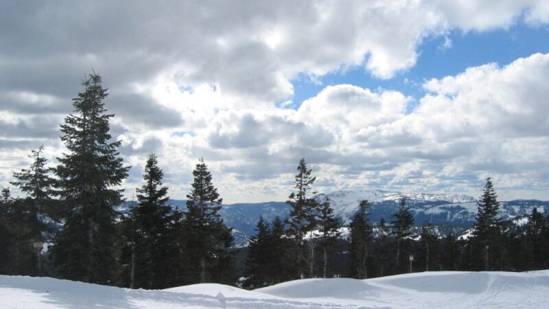 Savaitgalis bus saulėtas, bet šaltas