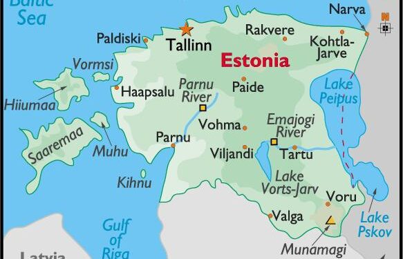 Nuvykiti pas brolius estus dar nebuvo pigiau!