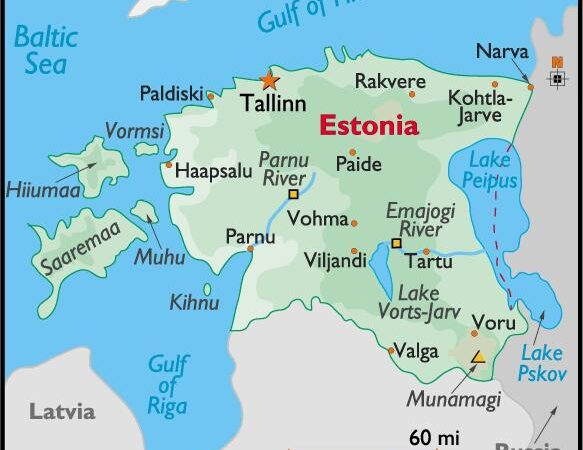 Nuvykiti pas brolius estus dar nebuvo pigiau!