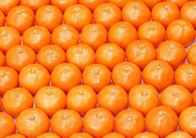 Pavojingi žuvų konservai ir mandarinai uždrausti platinti Lietuvoje