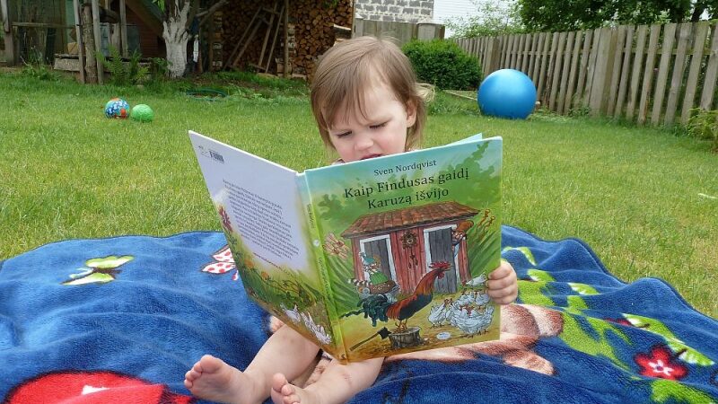 Knygos recenzija. Kartą į namus atkeliavo katinėlis Findusas ir gaidys Karuzas…