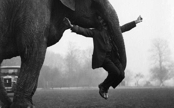 „Freakų“ cirkas: liliputai, moterys galiūnės, vaikas-šuo ir kt.