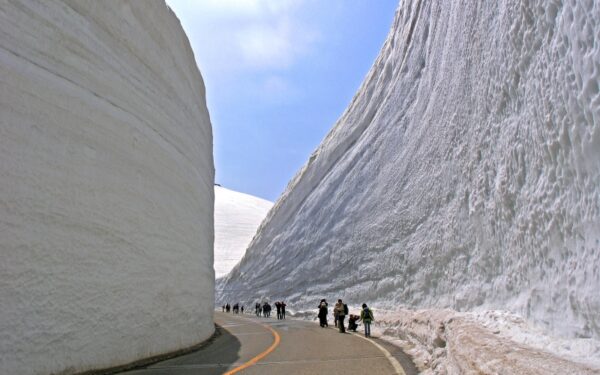 Tiek sniego Jums dar neteko matyti: nuo Kolorado kalnų iki Japonijos