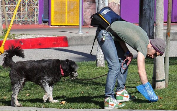 Augintinių kakučius renka net Holivudo žvaigždės (Foto)