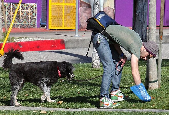 Augintinių kakučius renka net Holivudo žvaigždės (Foto)
