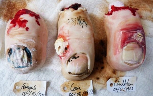 Šokiravo šlykščiais tortais (foto)