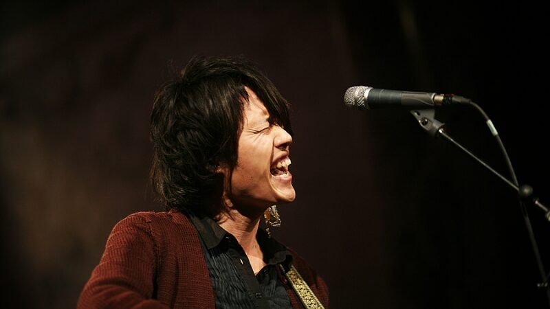 Japonų kultūros festivalio „nowJapan‘13“ atidarymą lydėjo sprogimai (foto)