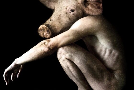 Žmogaus ir gyvūno hibridai: iš realybės į fikciją (foto)