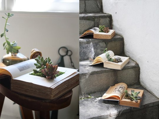 Pasidaryk pats: knyga-gėlės vazonėlis (foto)