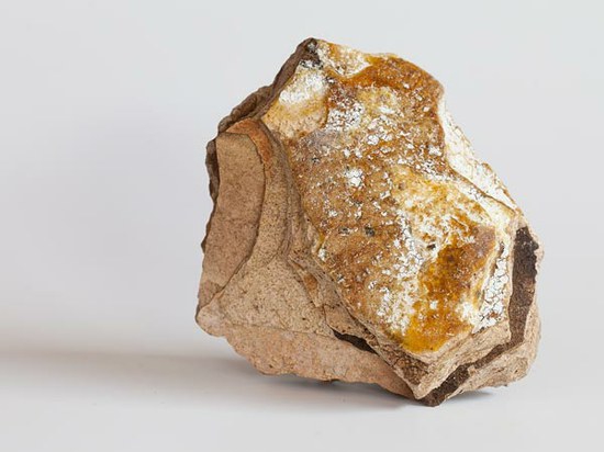 Pasakiškos vertės ambra: parfumerijos auksas iš... kašalotų žarnyno turinio
