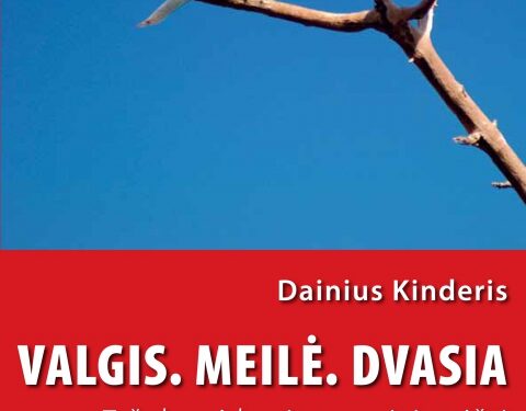 Lietuviškojo Magelano didžioji septyniukė (Recenzija)