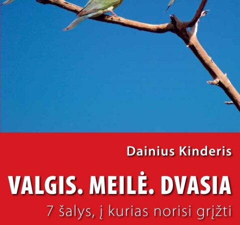 Lietuviškojo Magelano didžioji septyniukė (Recenzija)