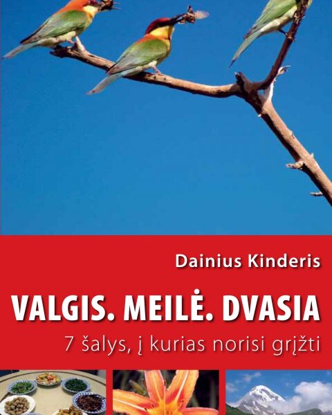 Lietuviškojo Magelano didžioji septyniukė (Recenzija)