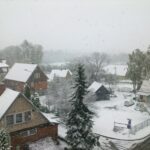 Ne balandžio 1-osios pokštas. Žemaitijoje nuo ryto smarkiai sninga (Foto)