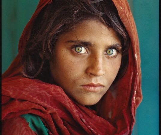 Žurnalistų plunksna ir fotografų nuotraukos padeda spręsti opiausias problemas