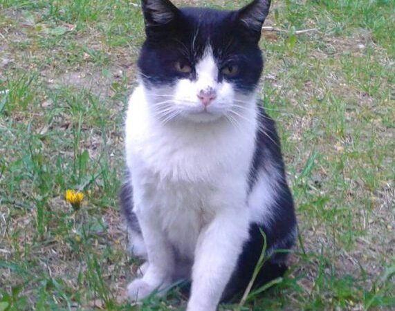 Globotinio pusryčiai: dėmesio ir meilės ištroškęs Markizas