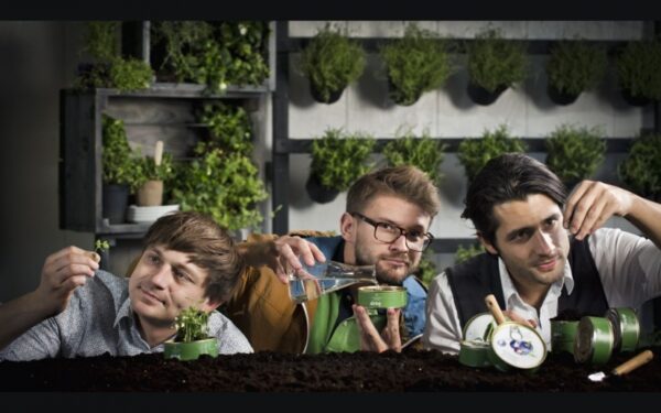 Kaip užsiauginti violetinių pomidorų ir baltų agurkų