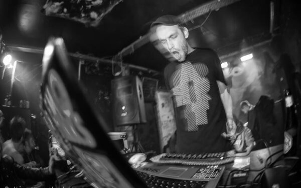 Daugiau nei 40 liūtų dalinsis Pakalnių miestelio salą