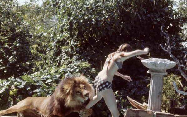 Beveik normalu: paauglės gyvenimas su liūtu (foto)