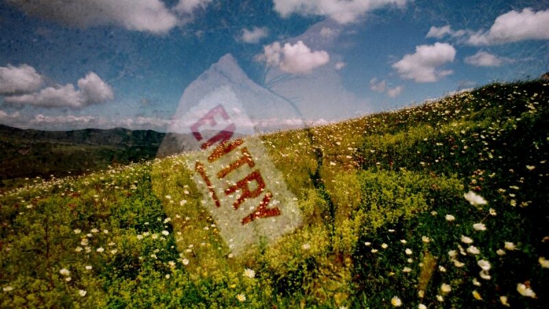 Užupio meno inkubatoriuje – pasaulio kultūrų atspindžiai