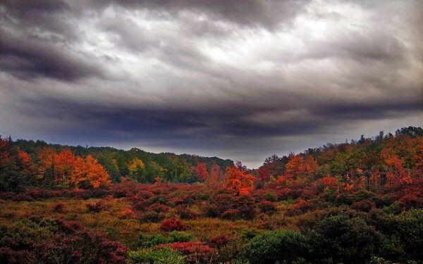 Sinoptikai žada – rugsėjo pradžia bus permaininga