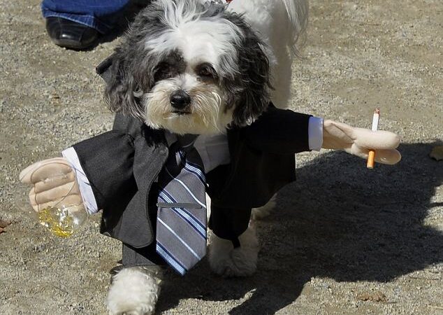 Šuns Helovino kostiumas – pažeminimas ar puošmena? (Foto)