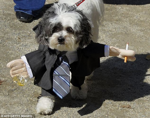 Šuns Helovino kostiumas – pažeminimas ar puošmena? (Foto)