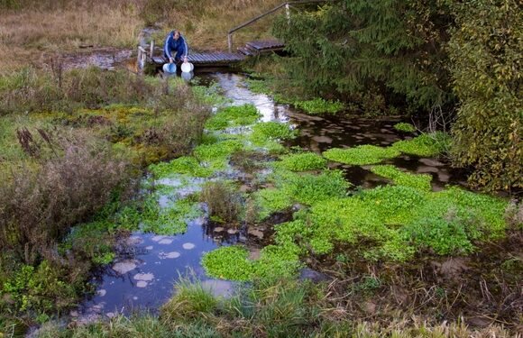 Keliauk  kitaip – Kurtuvėnų regioninis parkas (Foto)