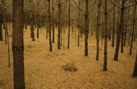 Keliauk kitaip – Veisiejų regioninis parkas (Foto)