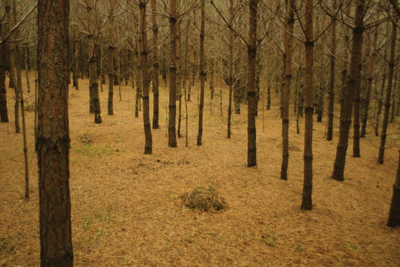 Keliauk kitaip – Veisiejų regioninis parkas (Foto)