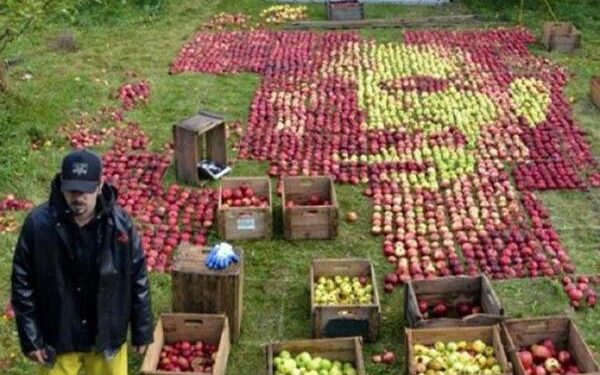 „Apple“ įkūrėjo atminimui – jo portretas iš obuolių
