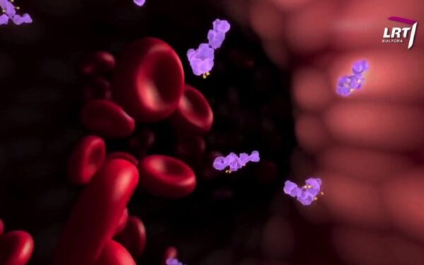 „Mokslo sriuba“: kaip mokslininkai tyrinėja ląsteles? (video)