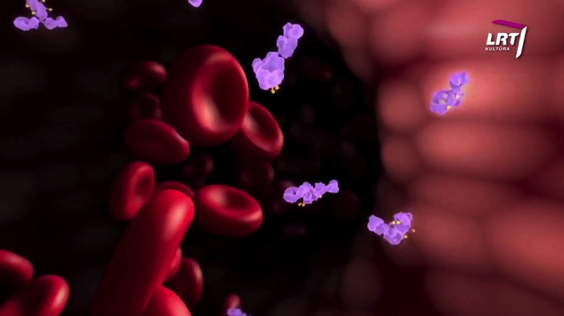 „Mokslo sriuba“: kaip mokslininkai tyrinėja ląsteles? (video)