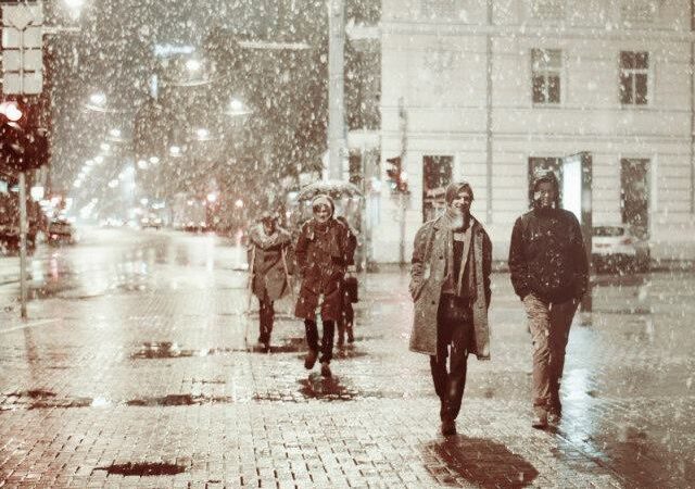 „Garbanotas Bosistas“ pristato debiutinį albumą ir radijo singlą (audio)