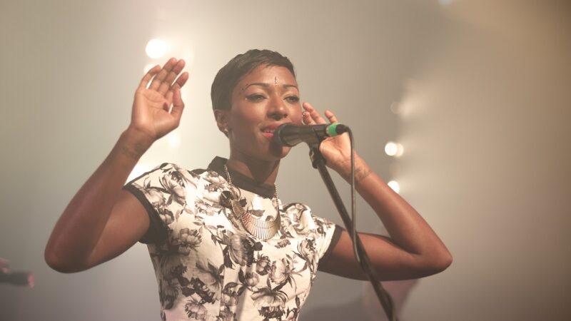 Gyvos Bonobo elektronikos magija sužavėjo lietuvius (foto)