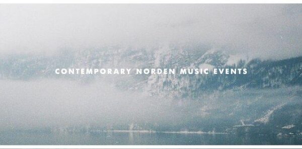 „Norden Wave“ organizatoriai: „Norime Šiaurės deimantus parodyti Lietuvai, o vėliau lietuviškas gintaras savaime atsiras ten“ (interviu)